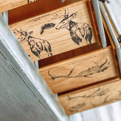 Deer Decor Transfer Redesign with Prima Furniture Decal