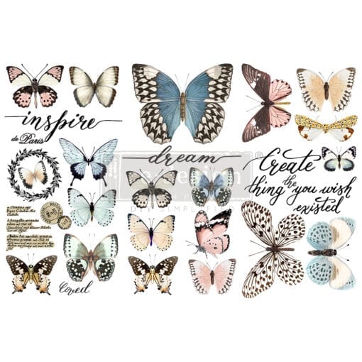 papillon collection transfer