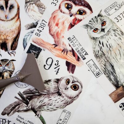 Owl Decor Transfer Redesign with Prima