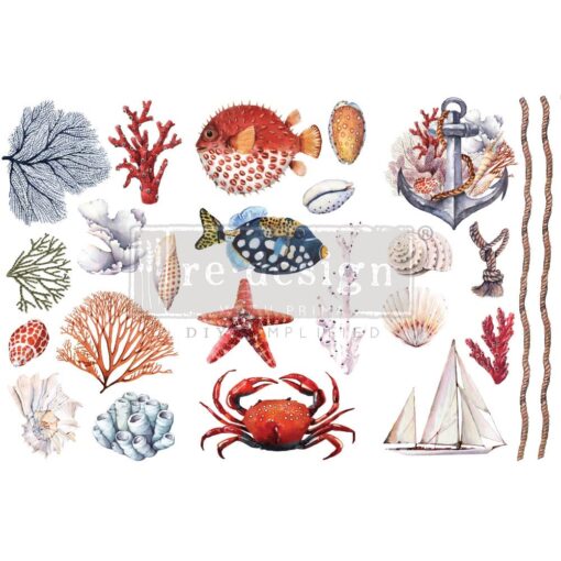 Amazing Sea Life Decor Transfer by Redesign with Prima