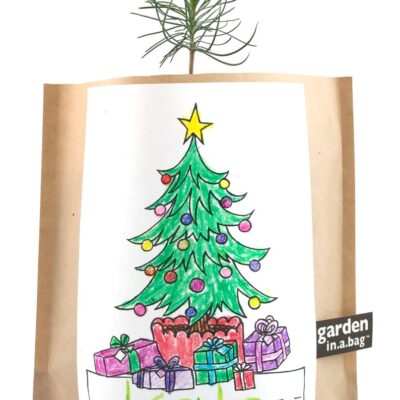 Garden in a Bag Merry Christmas Pine Tree for Kids