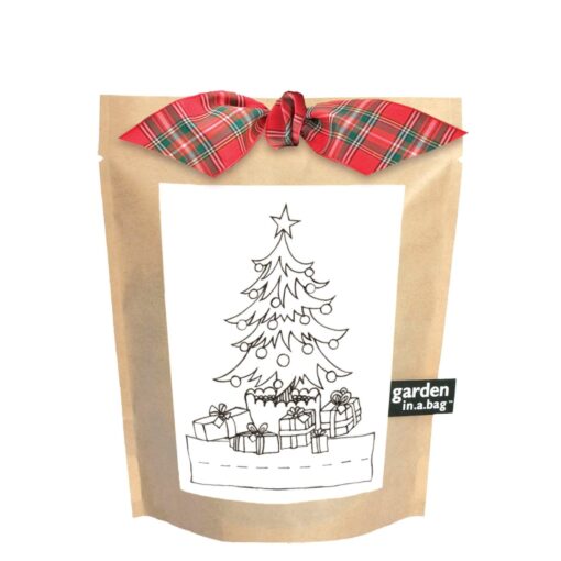 Garden in a Bag Merry Christmas Pine Tree for Kids