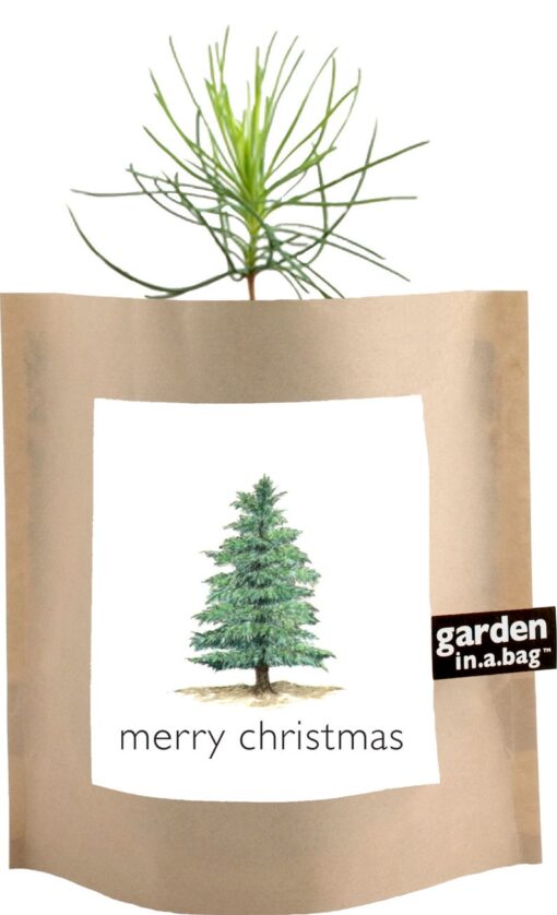 Garden in a bag Merry Christmas Pine Tree