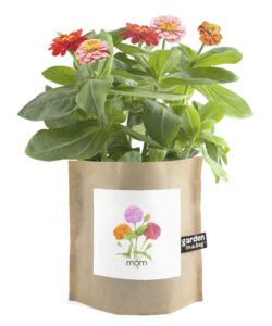 Garden in a Bag Mom Mom (Zinnia, Zinnia elegans) Dwarf zinnias are easy to grow beautiful plants with multi petaled flowers that bloom in a variety of bold colors. A growing expression of best wishes to Mom. Zinnias have a long blooming season from spring through autumn. To encourage more blossoms, pinch off old blooms. Includes: seed, growing medium, OMRI listed wood chips for drainage, directions. Bag 7" high x 6" wide. These kits are so much fun and you can even do them with kids! Everything you need is right there in the bag.  