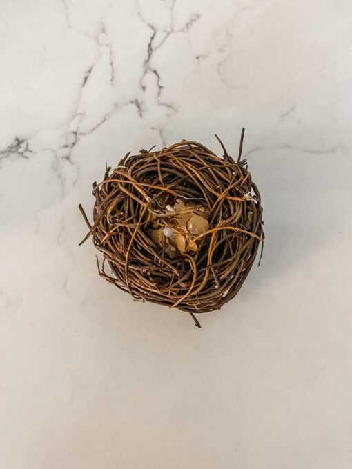 Miniature Bird Nest with 3 Eggs