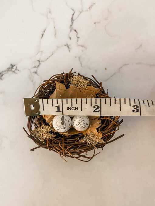 Miniature Bird Nest with 3 Eggs