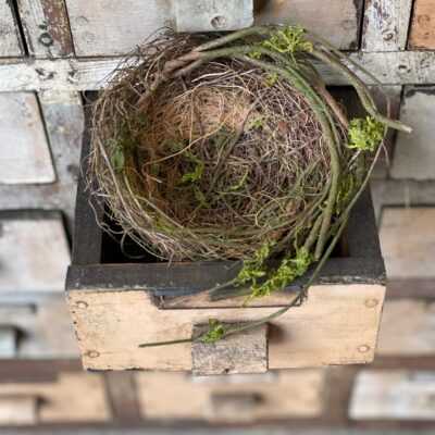 Twig & Moss Twined Bird Nest