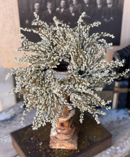 Cream Fall heather