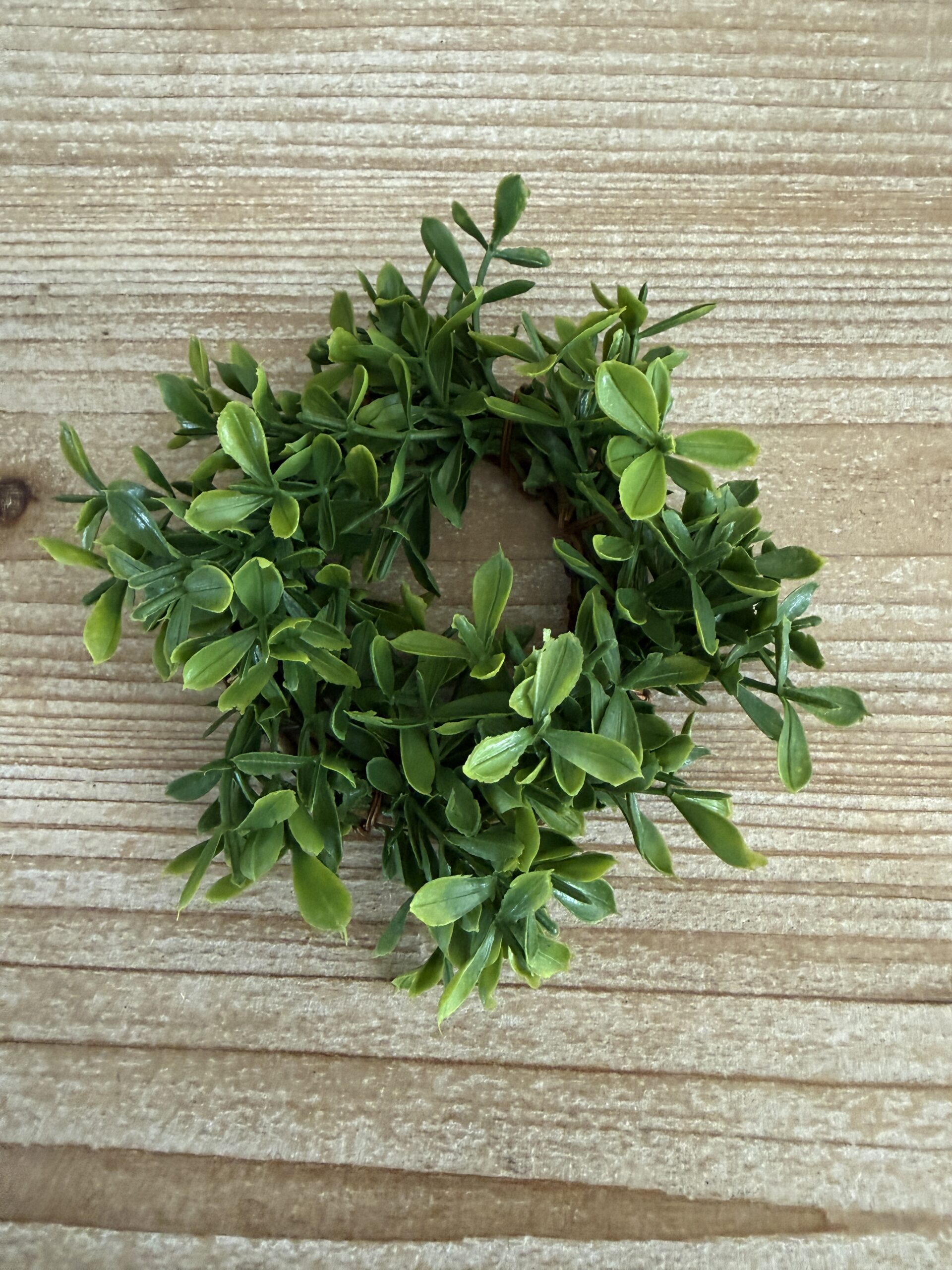 Lyric Boxwood Candle Ring - Image 4