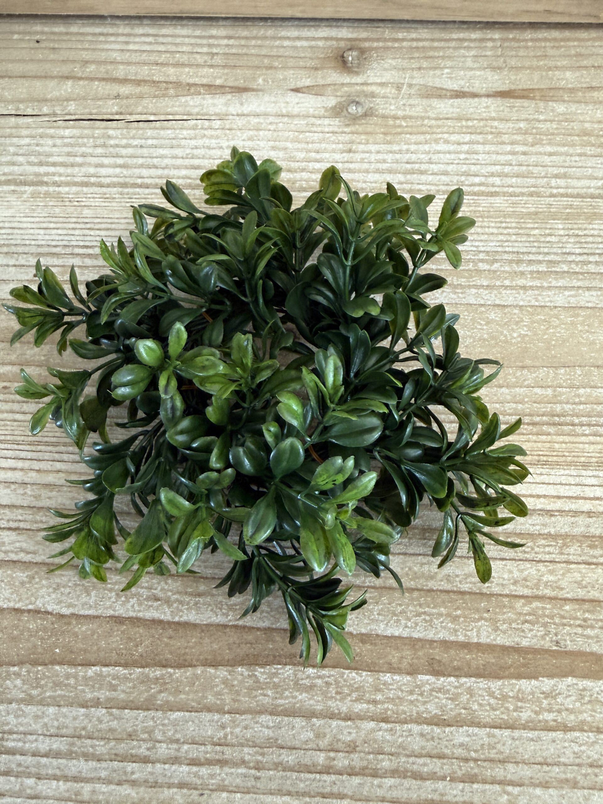 Galilee Boxwood Candle Ring - Image 7